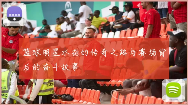 篮球明星水花的传奇之路与赛场背后的奋斗故事