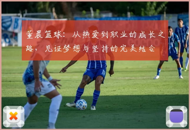 董晨篮球：从热爱到职业的成长之路，见证梦想与坚持的完美结合